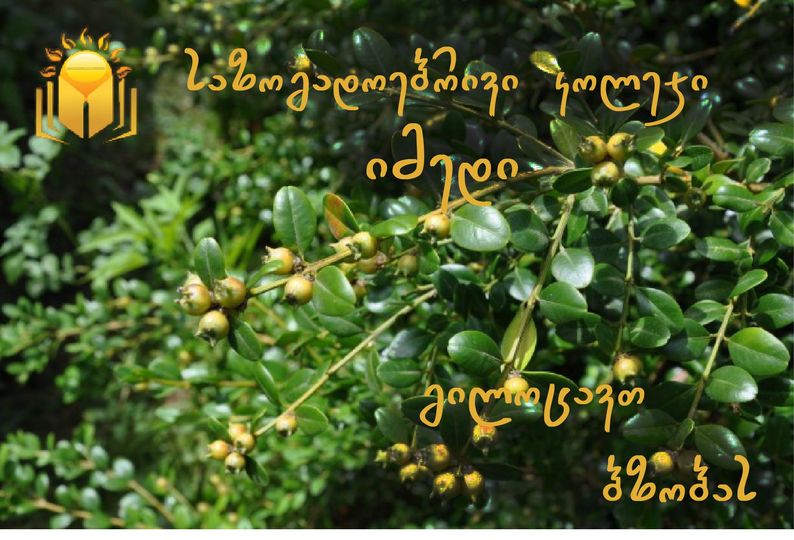 მრავალპროფილიანი საზოგადოებრივი კოლეჯი იმედი გილოცავთ ბზობას !!!