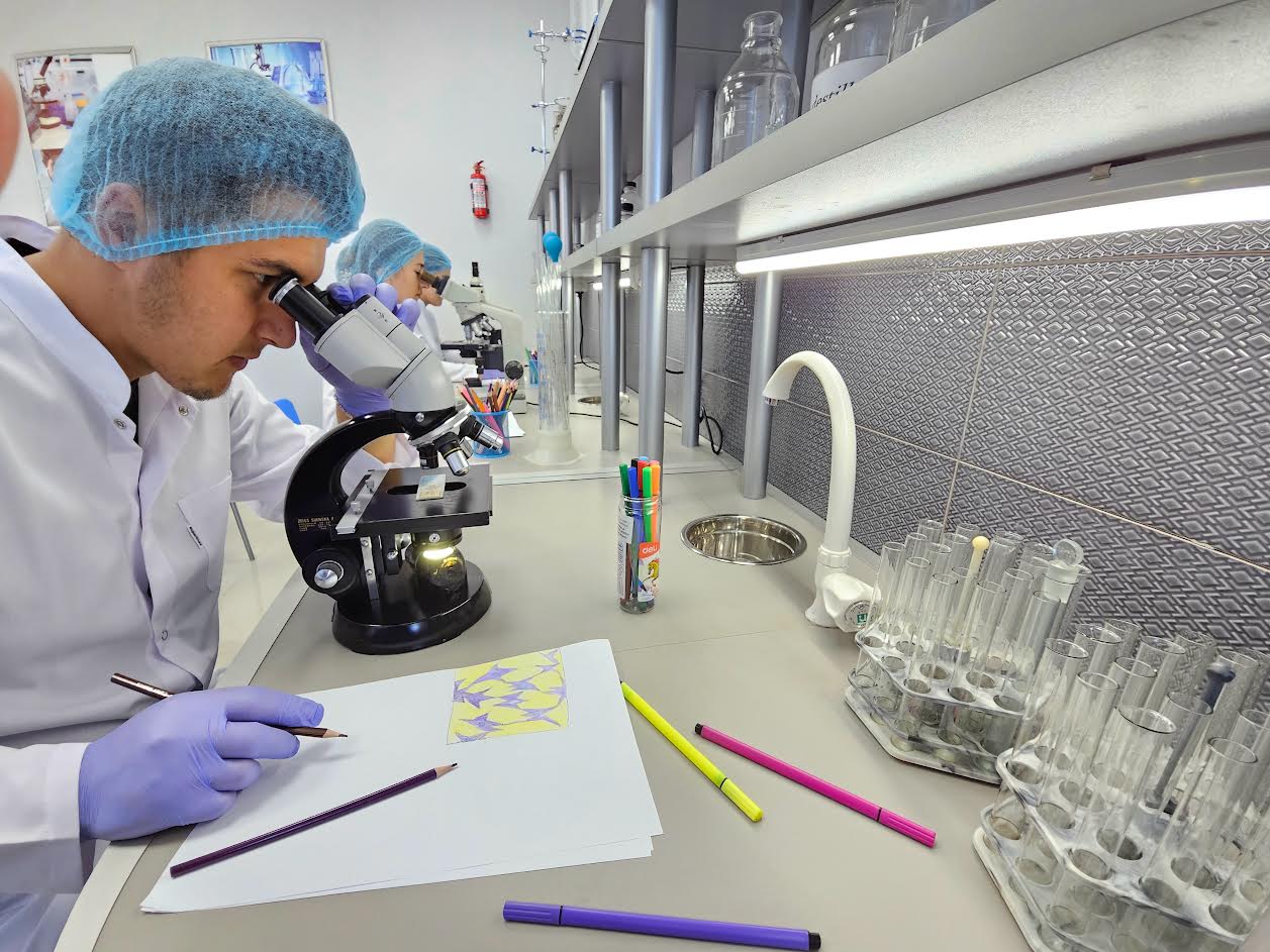 ☀️☀️☀️ სასწავლო პროცესი.